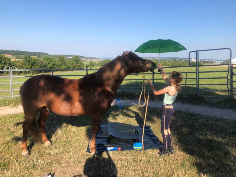 Mia_Gandalf_Unterricht2