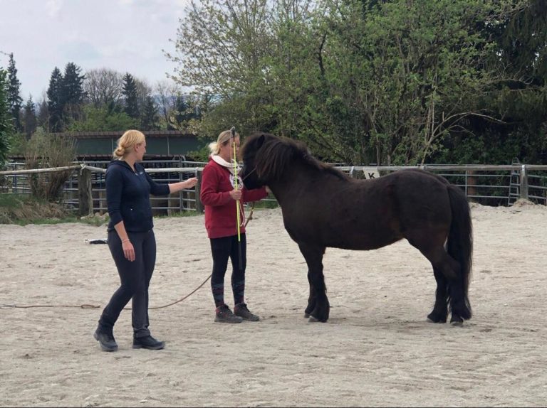 WhatsApp Image 2022-11-27 at 21.03.56