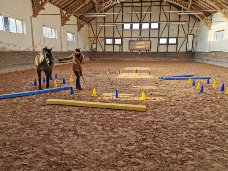 dfa362dc-16dd-4e0a-9b03-72c3dd32133c